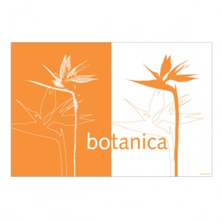 Set de table Botanica (lot de 4)