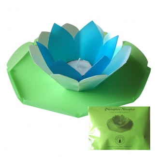 Photophore N�nuphar